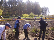 Осенью на участке