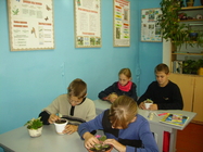 Практическая работа