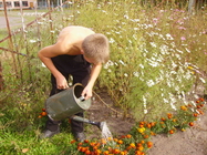 Летняя практика